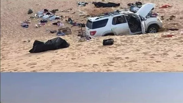 لمحة نيوز