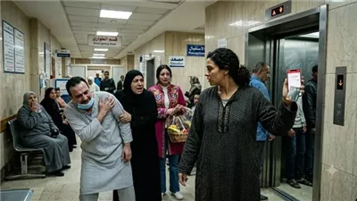 ​جوزي حوّل 900 ألف جنيه لأخته، ويوم العملية حسابه بقى فيه 6 جنيه و60 قرش…